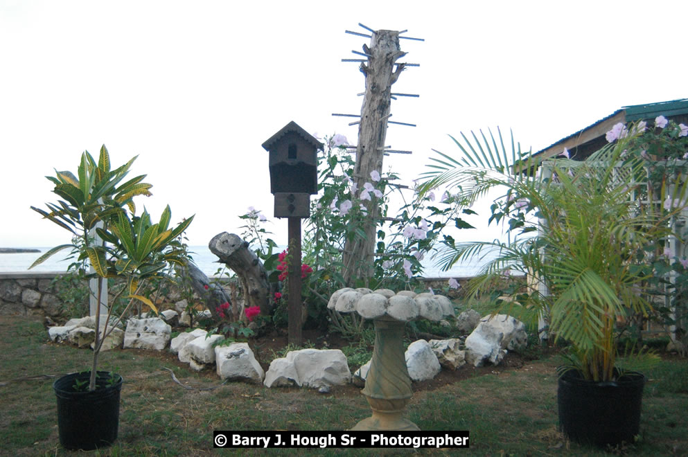 Catcha Fallen Star Resort Rises from the Destruction of Hurricane Ivan, West End, Negril, Westmoreland, Jamaica W.I. - Photographs by Net2Market.com - Barry J. Hough Sr. Photojournalist/Photograper - Photographs taken with a Nikon D70, D100, or D300 -  Negril Travel Guide, Negril Jamaica WI - http://www.negriltravelguide.com - info@negriltravelguide.com...!