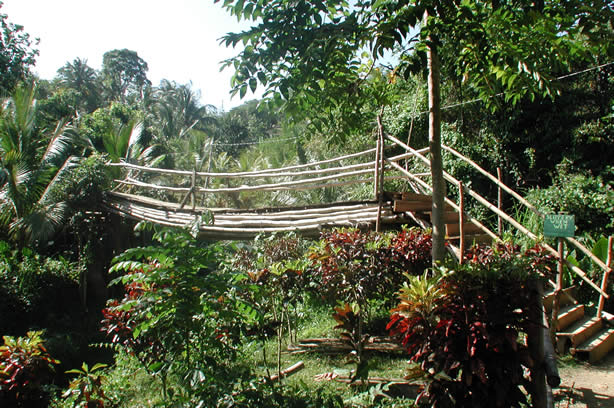 Riverwalk at   Mayfield Falls - Negril, Jamaica W.I. - Saturday, December 8, 2001 - Negril Travel Guide